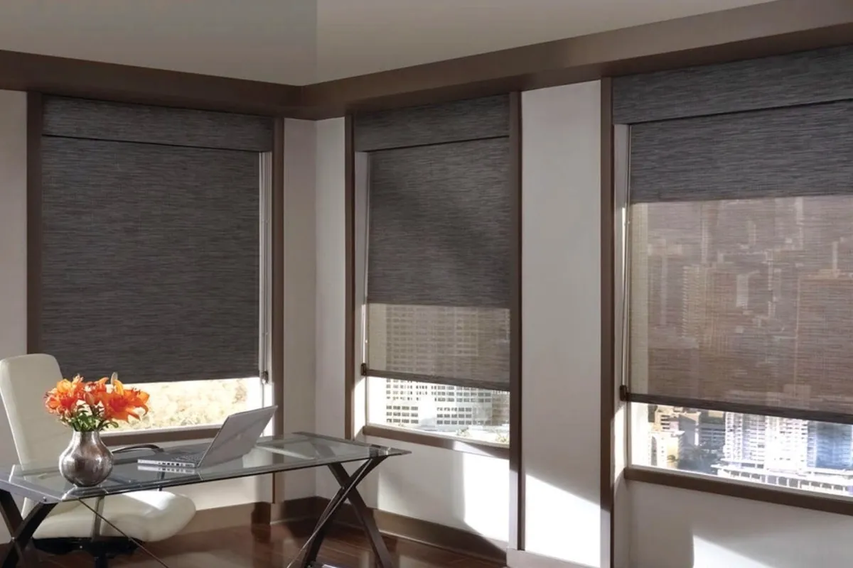 Two motorized dual roller shades side by side on a wide window overlooking trees